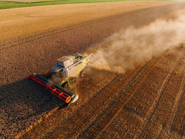 Landwirtschaft