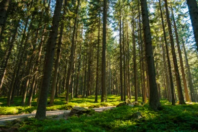 Mehr Platz für Natur